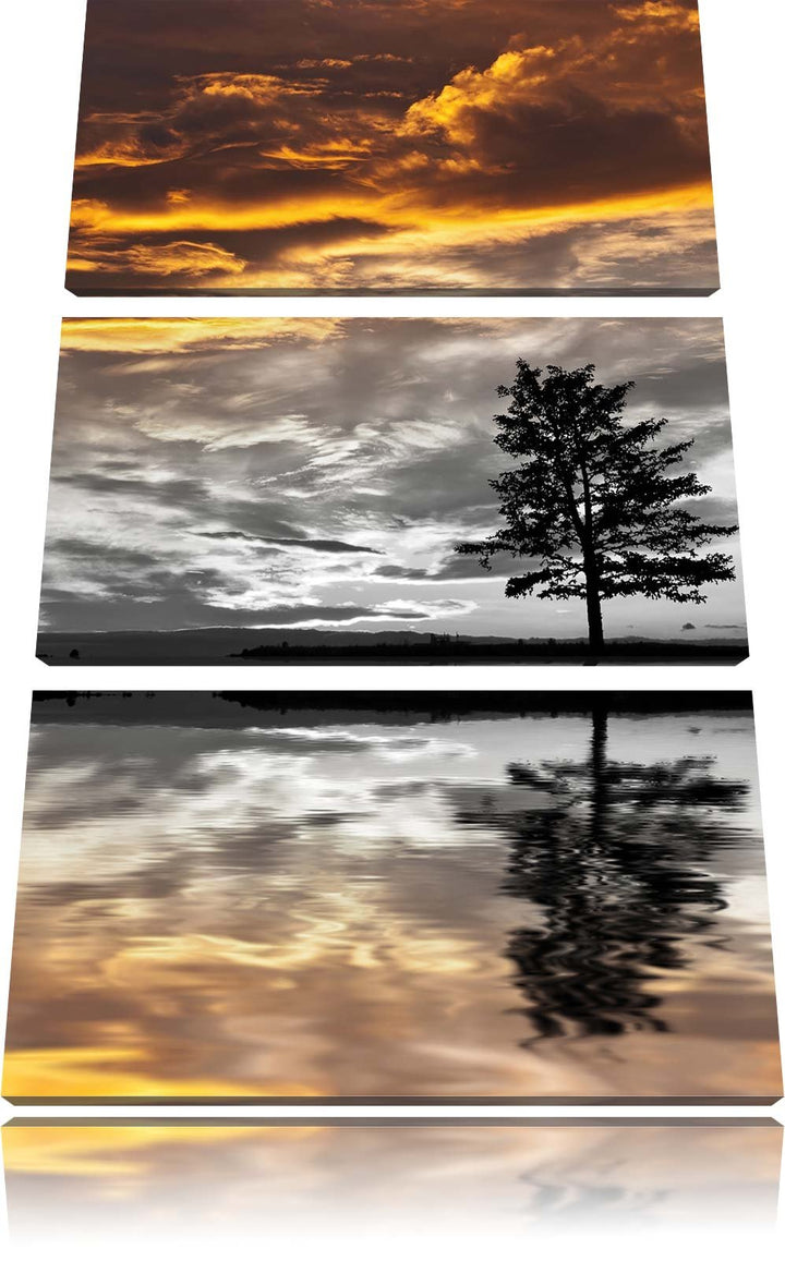 Pixxprint einsamer Baum auf Wiese als Leinwandbild/Grösse: 3 Teilig (120x80) cm/Wandbild/Kunstdruck/