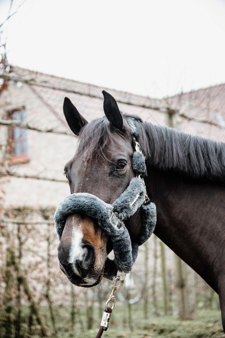 Kentucky Halfter LAMMFELL Transport Grösse Full, Farbe grau