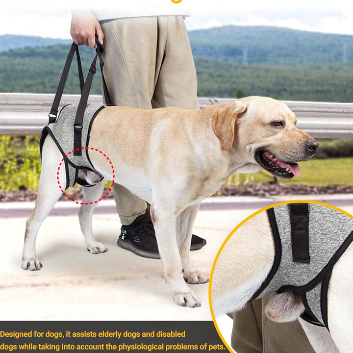 Tragehilfe Hund Gross, Tragehilfe Hund Hinterbein s, Dog Back Leg Support, Dog Carrying Aid, Verstel