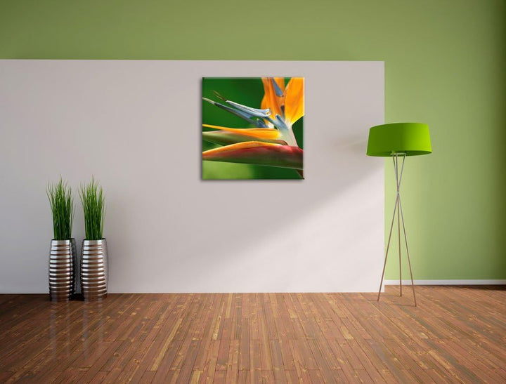 Pixxprint Tropische Blume, Format: 70x70 auf Leinwand, XXL riesige Bilder fertig gerahmt mit Keilrah