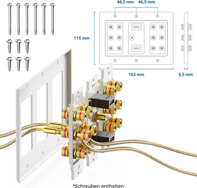 deleyCON Multimedia Lautsprecher Boxen Wanddose Anschlussdose Wandplatte mit Bananenstecker-Buchsen