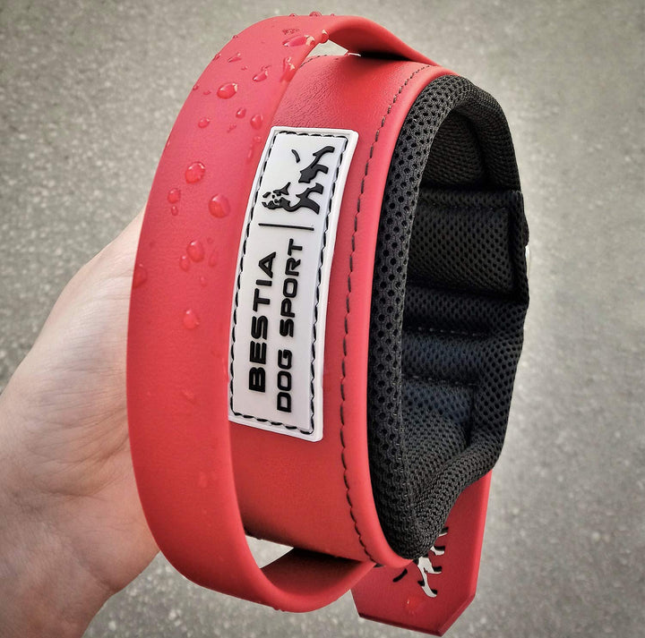 Bestia Dog Sport Halsband MIT Griff M - von 42,5 cm bis 52,5 cm Alles Rot, M - von 42,5 cm bis 52,5