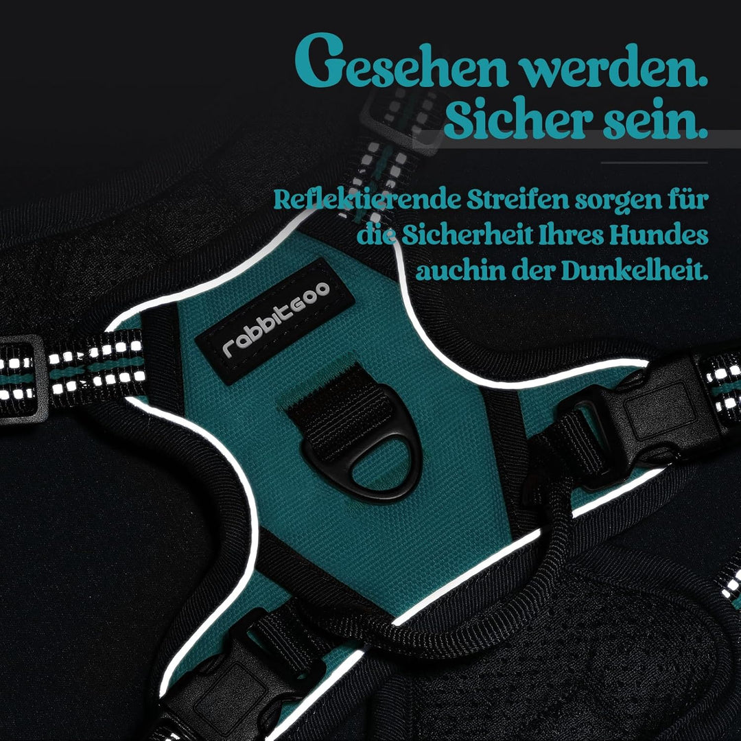 rabbitgoo Hundegeschirr Kleine Hunde, Anti Zug Geschirr mit Kontrolle, No Pull Verstellbar Hundegesc