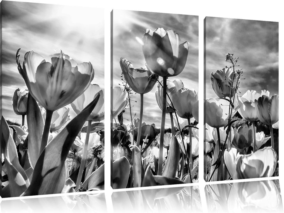 Pixxprint Blumenwiese als Leinwandbild/Grösse: 3 Teilig (120x80) / Wandbild/Kunstdruck/fertig bespan