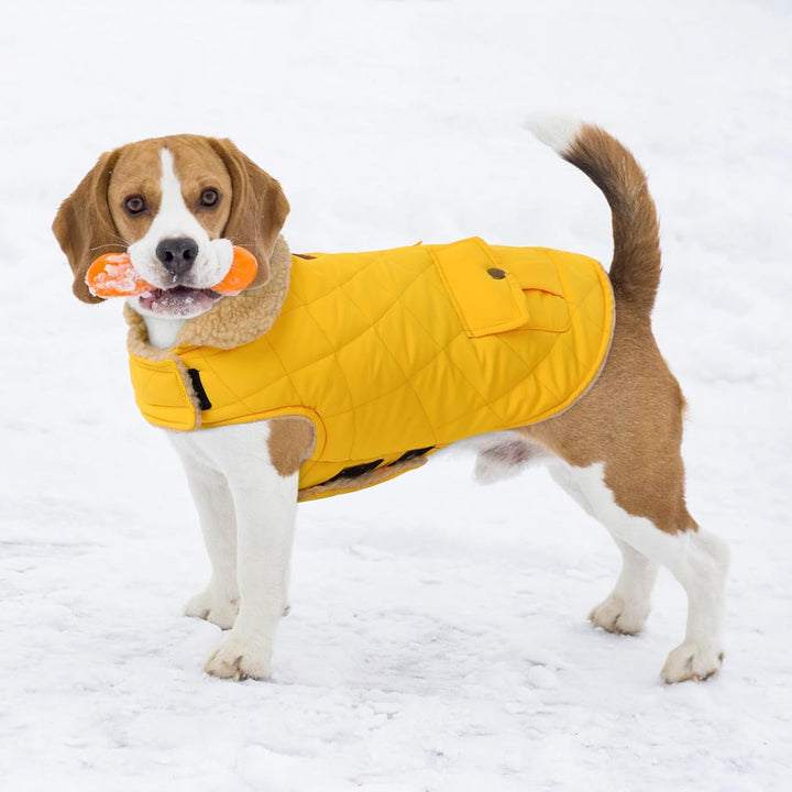 Wintermantel Hundemantel, Warme Winterjacken mit Fleece für Hunde,Hundejacke Hundekleidung Hundepull