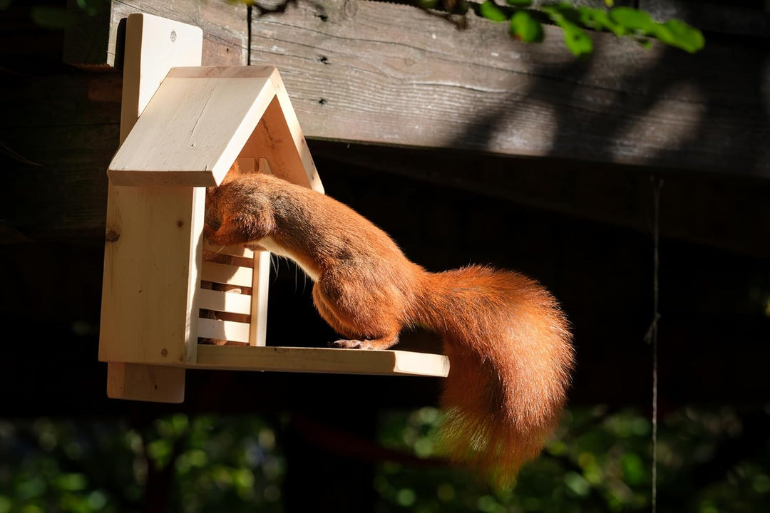 Zirbelino® Eichhörnchen Futterhaus, fix-fertig montiert aus 100% Zirbenholz | 100% wetterfest I meta