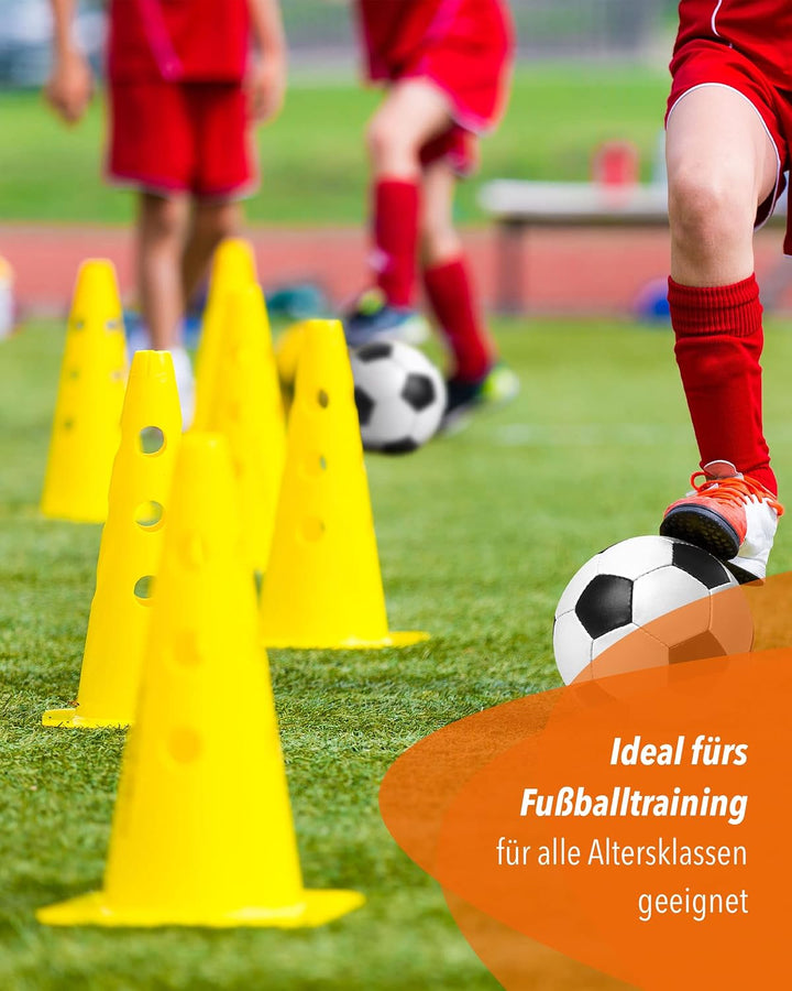 Kombi Kegel-Hürde – Steckhürde für Agility Training – Sprung- &amp; Slalom-Hütchen für Hund, Sport, Pfer