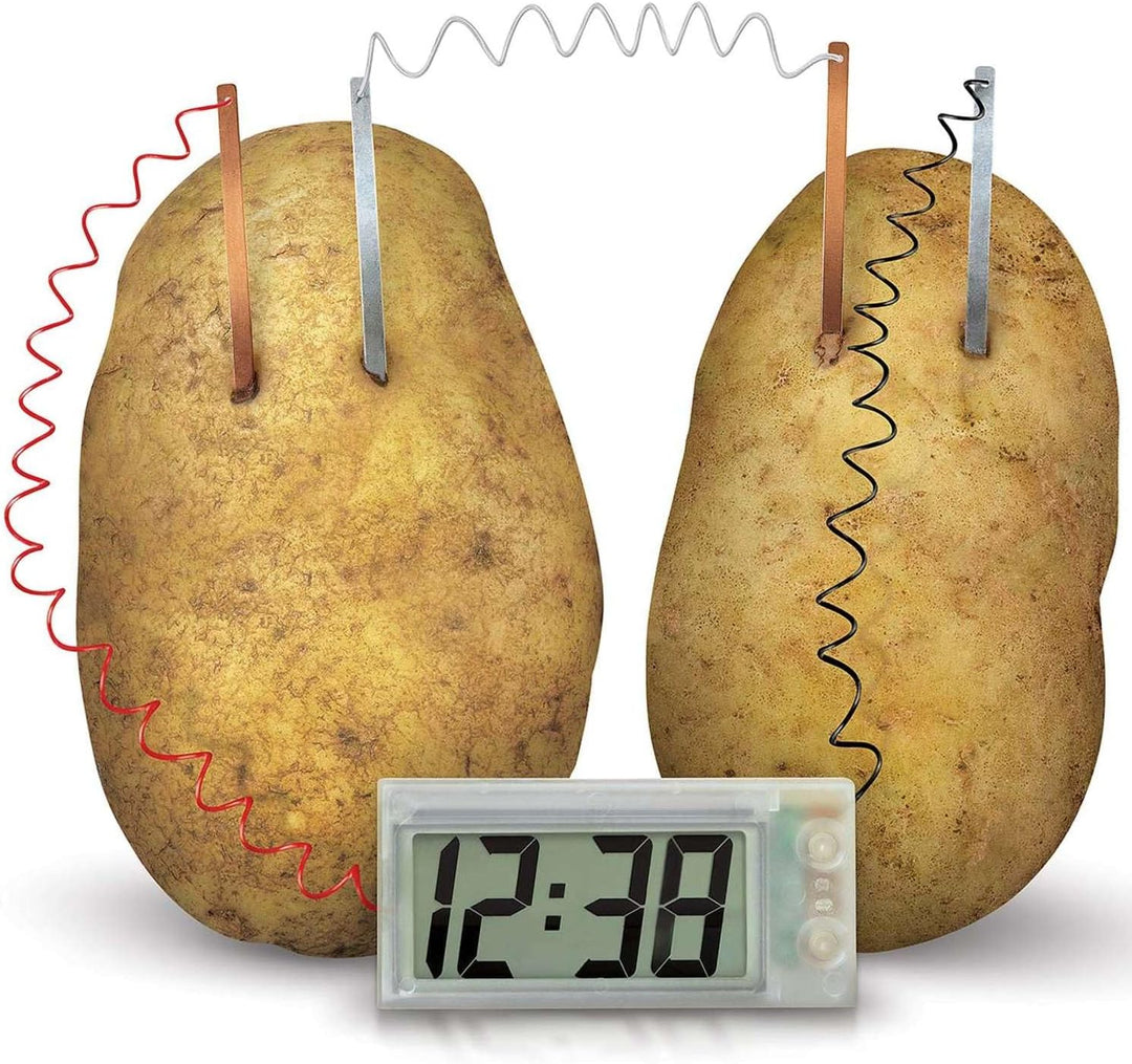4M Green Science Potato Clock, Potato Clock