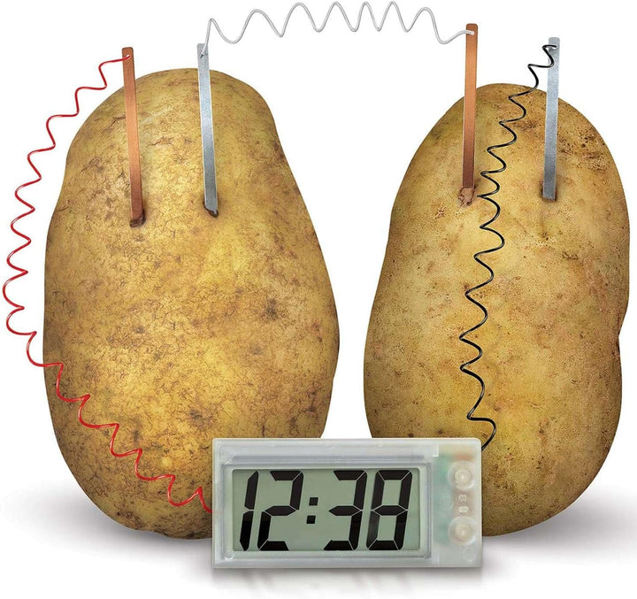 4M Green Science Potato Clock, Potato Clock