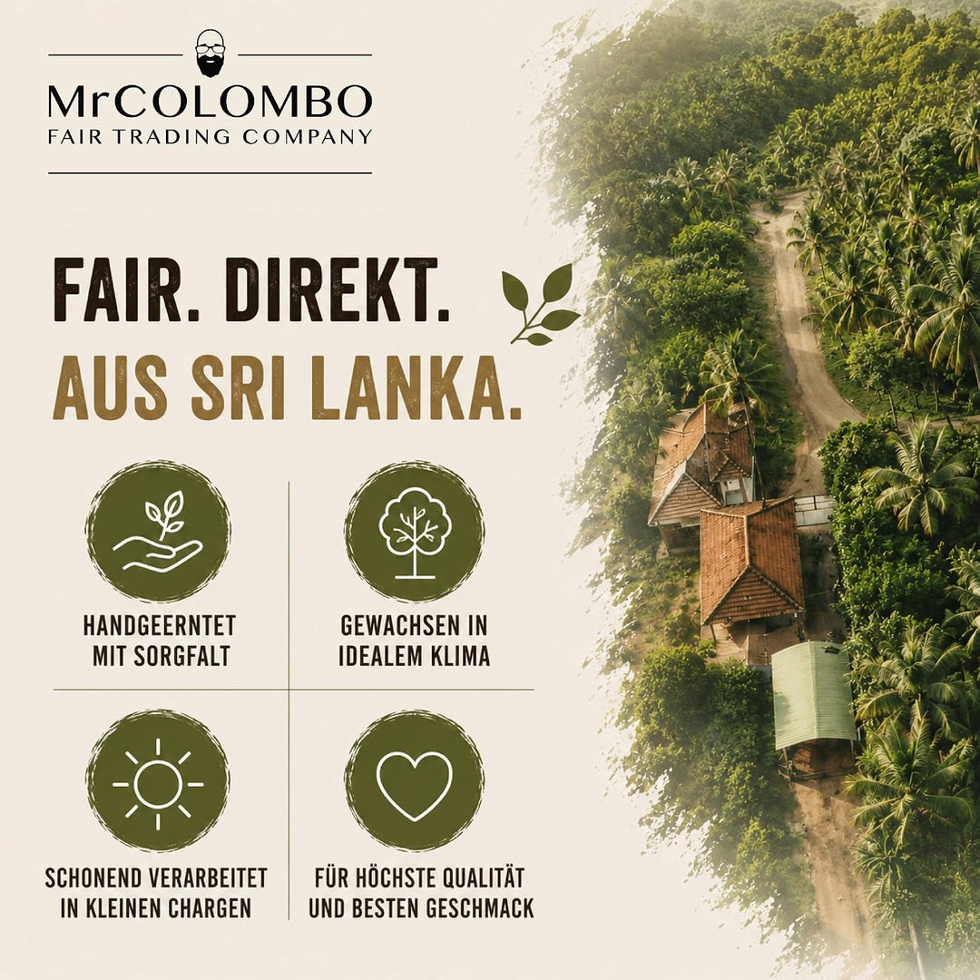 Ceylon Zimt Pulver 100g – C5 Premium Qualität, Direktimport aus Sri Lanka, Echter Zimt gemahlen, cum