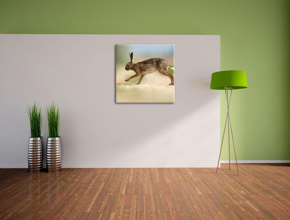 Pixxprint Hüpfender Hase, Format: 70x70 auf Leinwand, XXL riesige Bilder fertig gerahmt mit Keilrahm