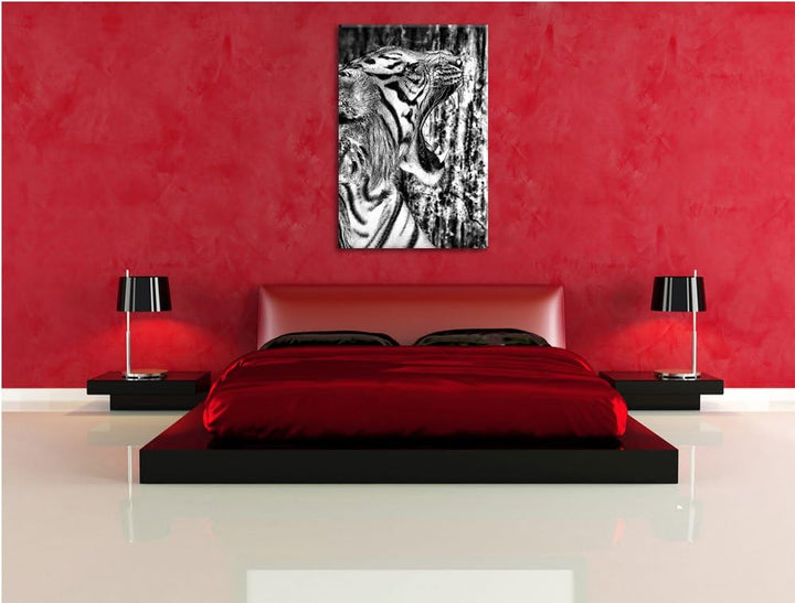 Pixxprint Monocrome, Brüllender Tiger, Format: 100x70 auf Leinwand, 100x70