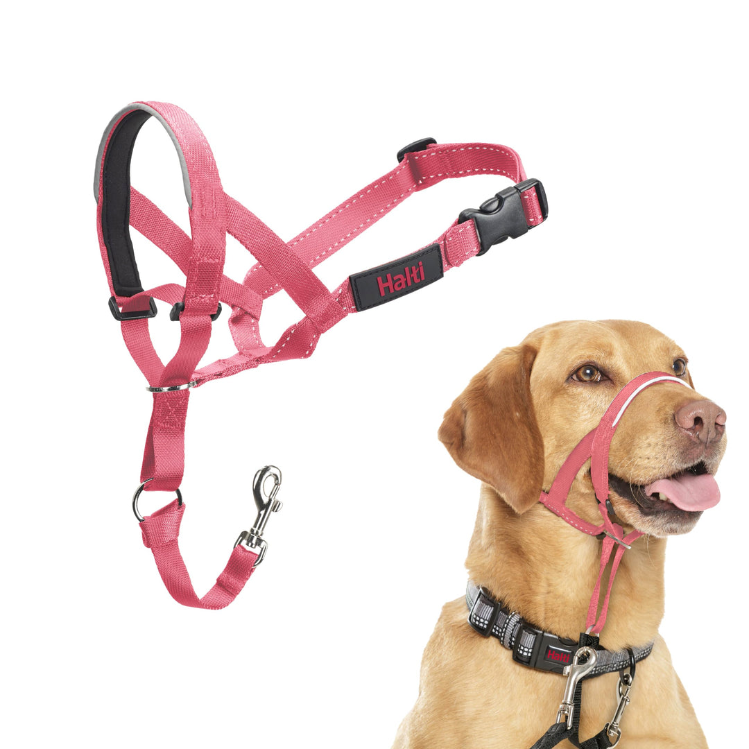 Halti Kopfgeschirr für Hunde (Grösse 3, Rosa) | Verhindert, dass Ihr Hund an der Leine zieht, Leicht