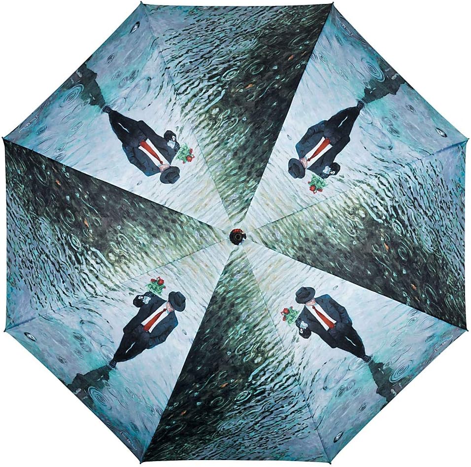VON LILIENFELD Regenschirm Auf-Automatik Windfest Damen Herren Stabil Kunst Theo Michael: Romance