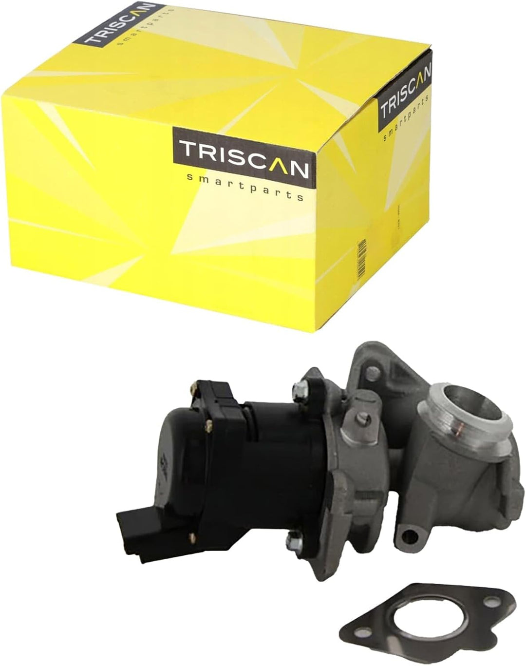 TRISCAN 8813 10010 AGR-Ventile