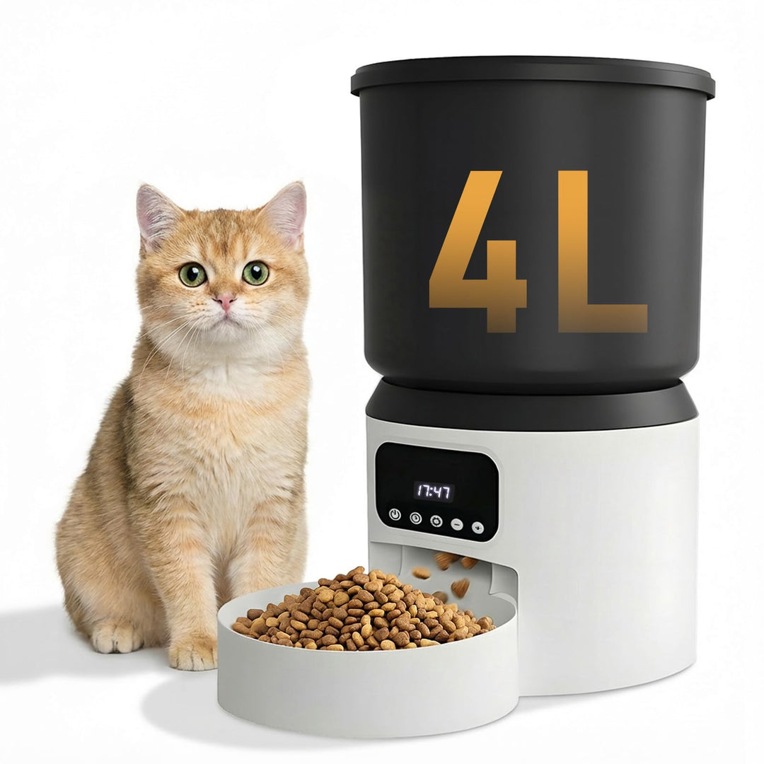 Futterautomat Katze, 4L Katzenfutter Automat, Futterspender Katze mit Programmierbarem Timer, Automa