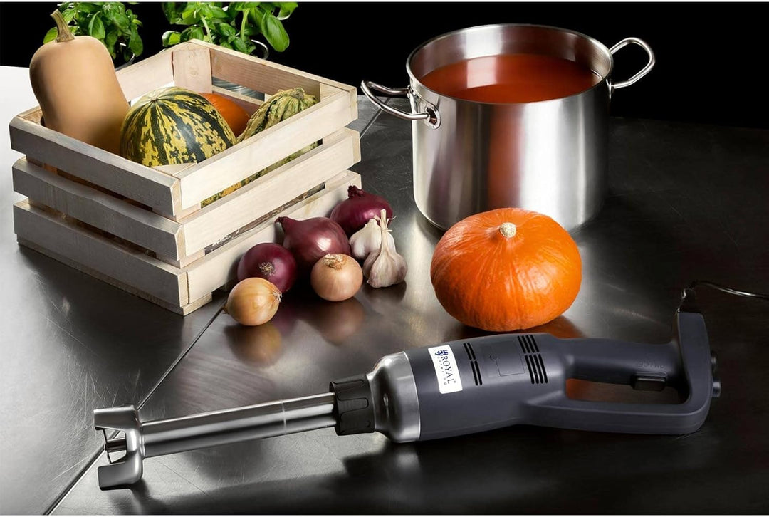 Royal Catering RCSM-500-300P Stabmixer Pürierstab Zauberstab (ergonomischer Griff, 500 W, 6000 - 18