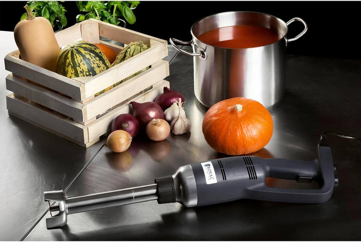 Royal Catering RCSM-500-300P Stabmixer Pürierstab Zauberstab (ergonomischer Griff, 500 W, 6000 - 18