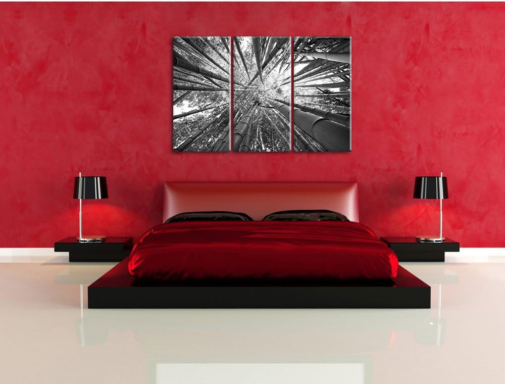 Pixxprint Grüner Bambus Kunst B&W als Leinwandbild | Grösse: 3 Teilig (120x80) | Wandbild| Kunstdruc
