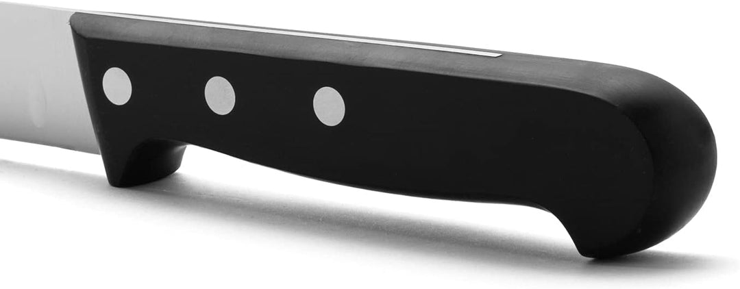 Arcos Serie Universal - Lachsmesser Fischmesser - Klinge Nitrum Edelstahl 300 mm - HandGriff Polyoxy