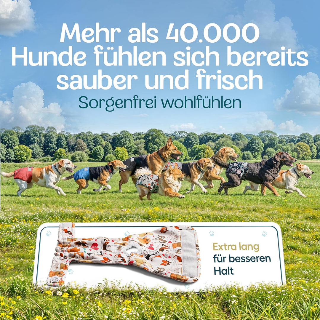 HUND IST KÖNIG Hundewindeln für Hündinnen (3 Stück) - Hochabsorbierende Läufigkeitshose für Hündinne