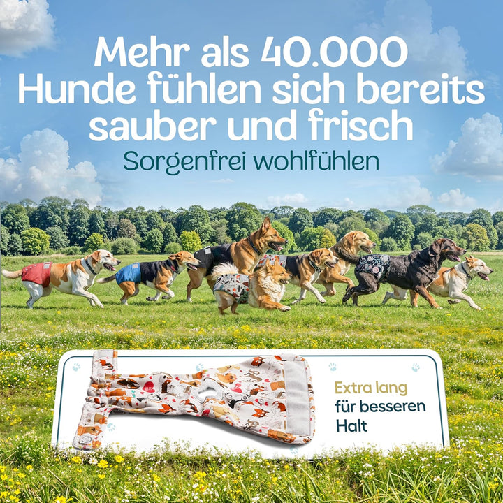 HUND IST KÖNIG Hundewindeln für Hündinnen (3 Stück) - Hochabsorbierende Läufigkeitshose für Hündinne