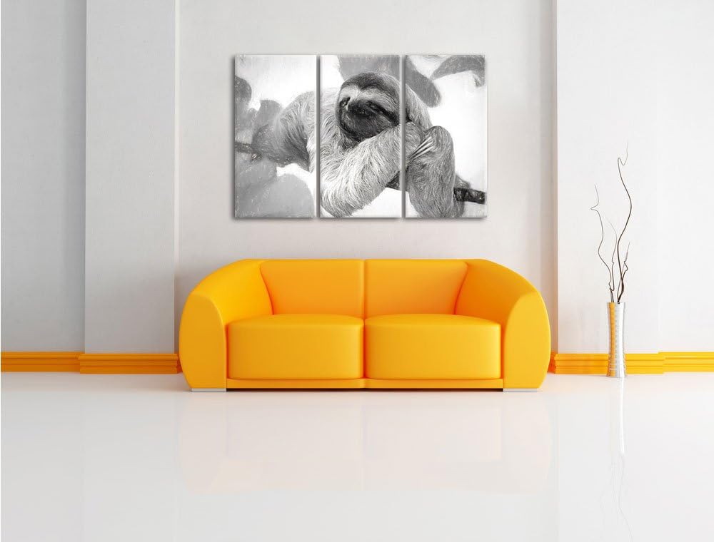 Pixxprint Faultier hängt von AST / 3-Teilig/Gesamtmass 120cm Leinwandbild bespannt auf Holzrahmen/Wa