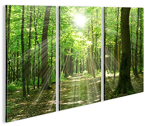 islandburner Bild Bilder auf Leinwand Sonnenstrahlen im Wald Bäume Spaziergang 3p XXL Poster Leinwan