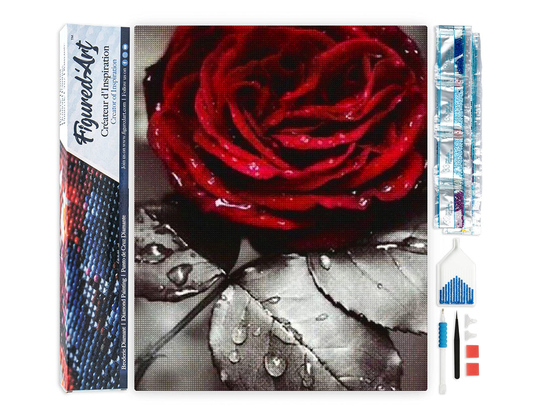 Figured'Art Diamond Painting Erwachsene 40x50cm Ganze Leinwand gerollt Rote Rose 5D Bilder Eckige St