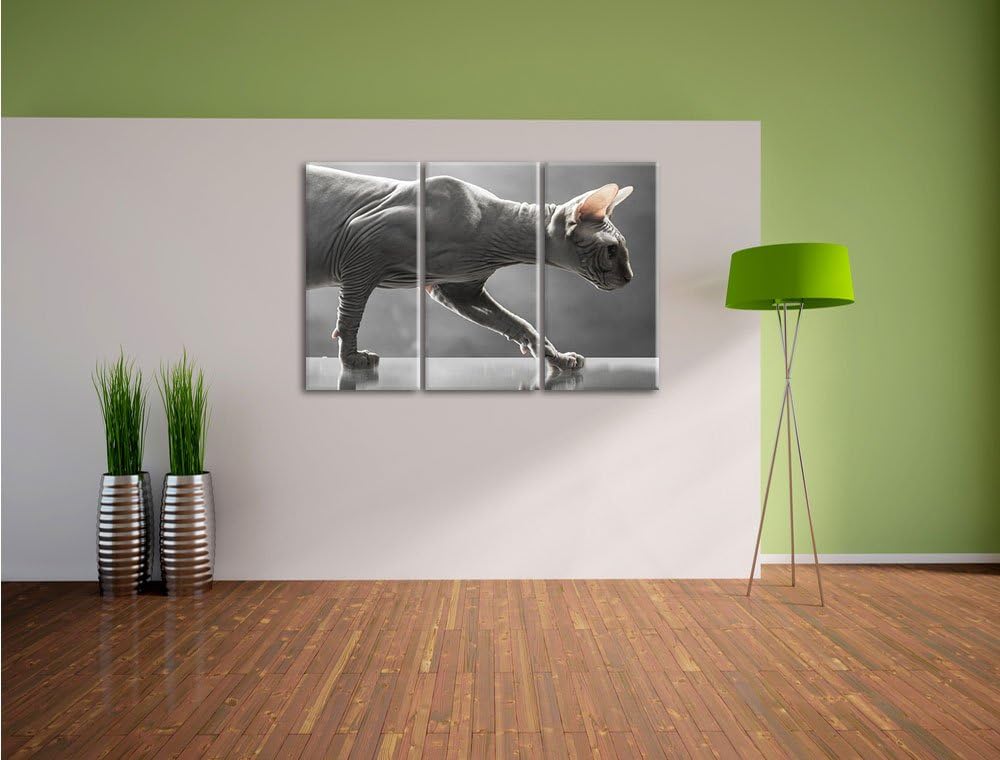 Pixxprint Einzigartige Sphynx Katze 3-Teiler Leinwandbild 120x80 Bild auf Leinwand