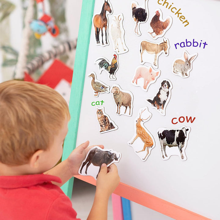 magdum 85 Kinder Magnete Zoo + BAUERNHOFTIERE + Obst + GEMÜSE Foto Magnete Kinder für magnettafel -