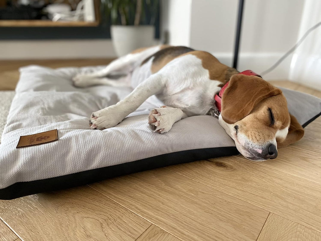 PaLulli Animal Hundebett Kissen Matte Wasserdicht Maschine waschbar Weich und bequem Polyester Haust