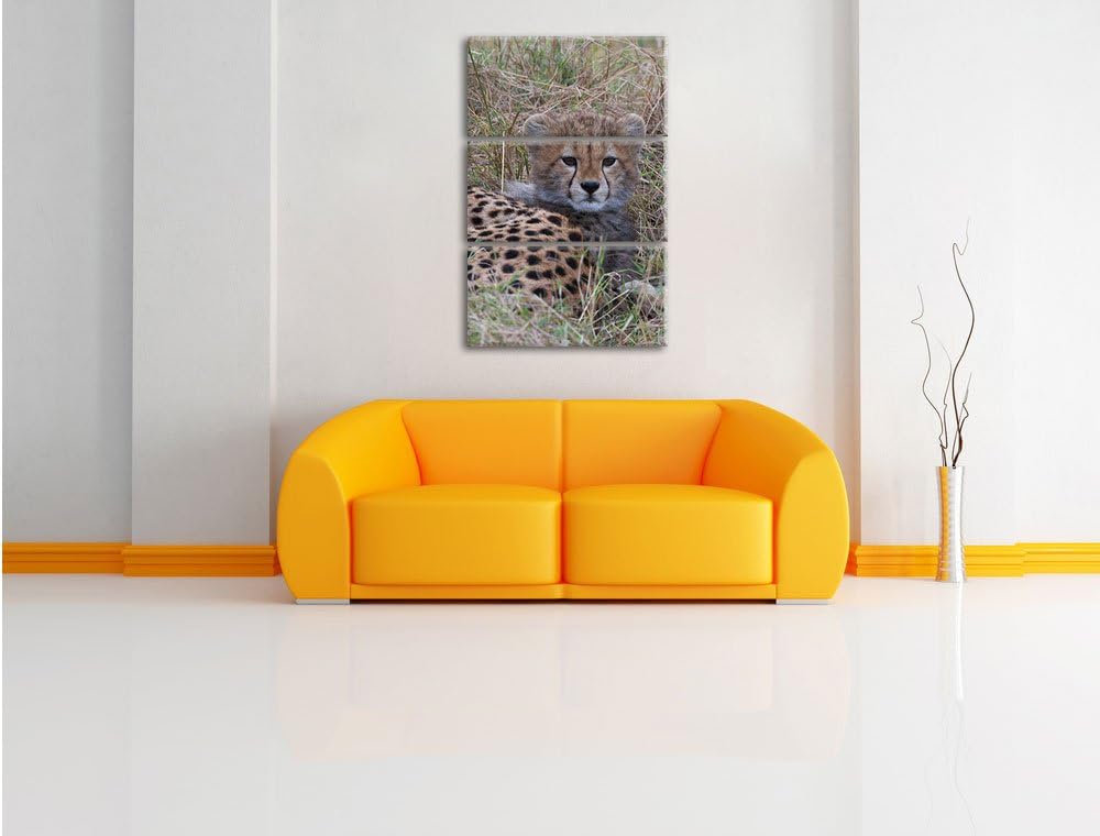 Pixxprint süsse Junge Geparden im Gras / 3-Teilig/Gesamtmass 120cm Leinwandbild bespannt auf Holzrah