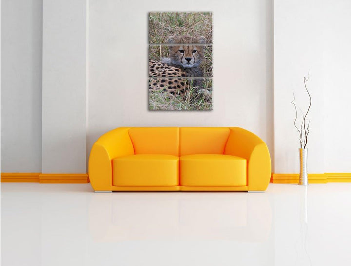 Pixxprint süsse Junge Geparden im Gras / 3-Teilig/Gesamtmass 120cm Leinwandbild bespannt auf Holzrah