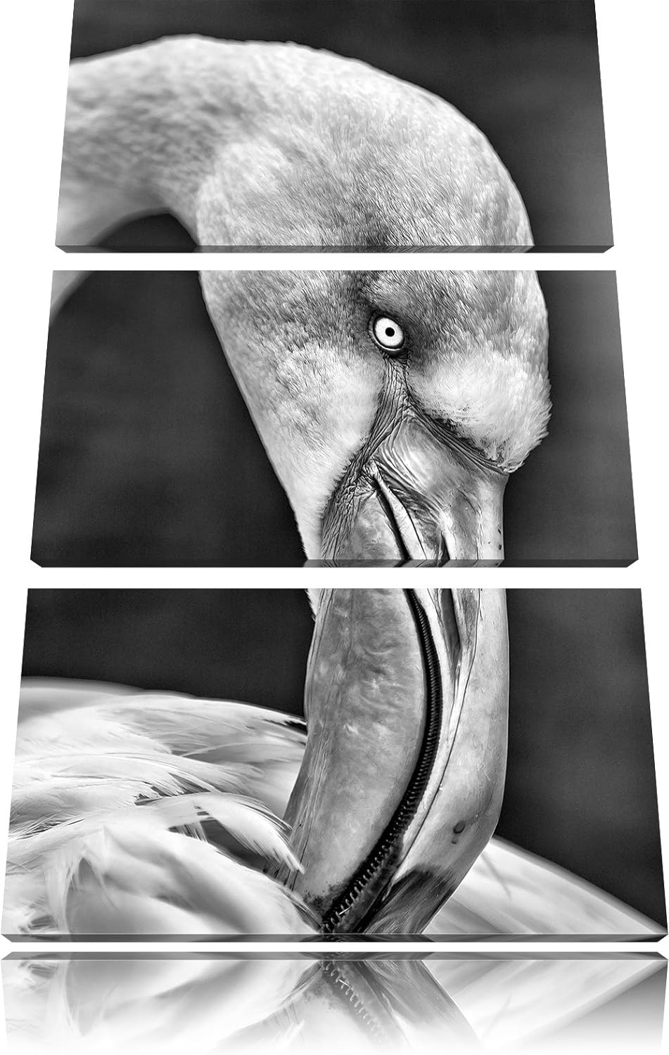 Pixxprint Flamingo beim Putzen als Leinwandbild/Grösse: 3 Teilig (120x80) cm/Wandbild/Kunstdruck/fer