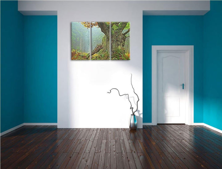 Dicker Baum im Wald im Moos Spezial 3-Teiler Leinwandbild 120x80 Bild auf Leinwand, XXL riesige Bild