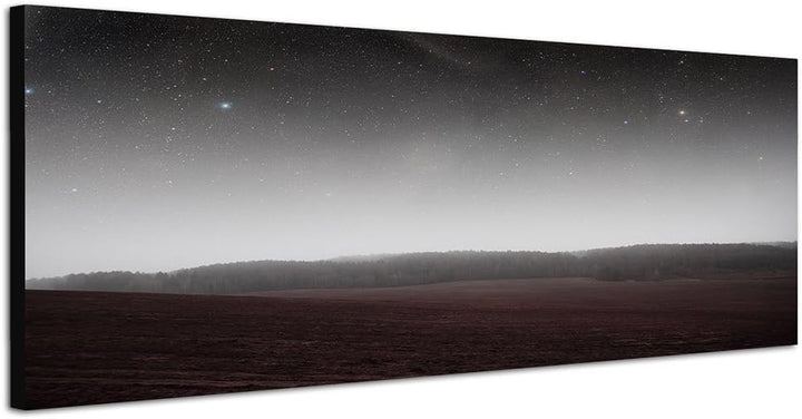 Paul Sinus Art Panoramabild auf Leinwand und Keilrahmen 150x50cm Feld Wald Nacht Sterne