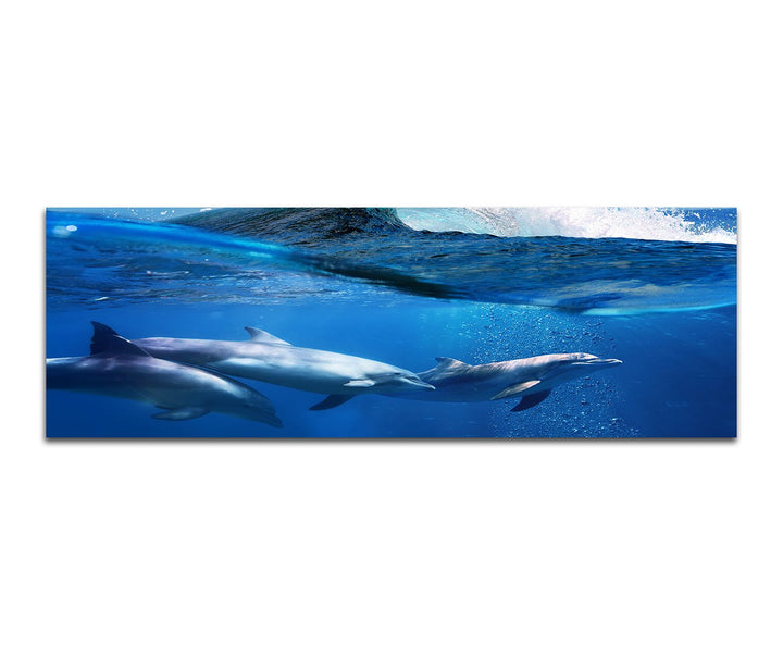 Paul Sinus Art Panoramabild auf Leinwand und Keilrahmen 150x50cm Ozean Welle Delfine Unterwasser