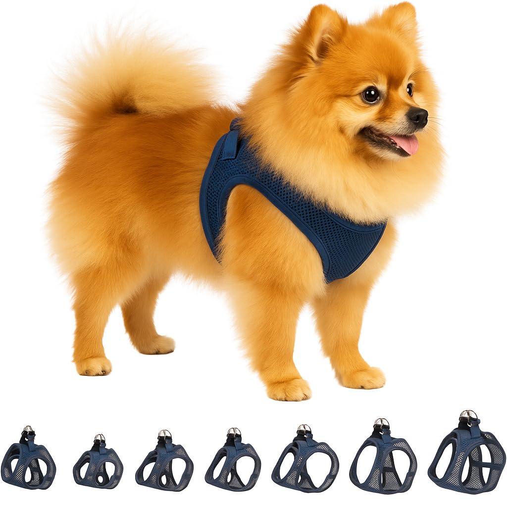 Hundegeschirr - hundegeschirr kleine Hunde - 30–35cm A. Brust / 37–40cm B. Bauch - Flamingo Harness