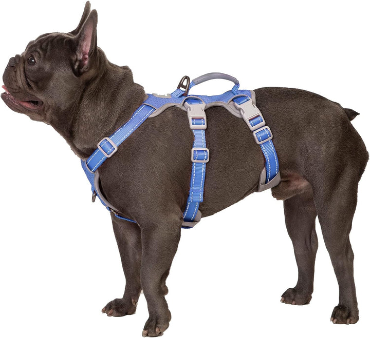 Huntboo Hunde Sicherheitsgeschirr, Rutschfestes Hundegeschirr Escape Proof, Reflektierendes Geschirr