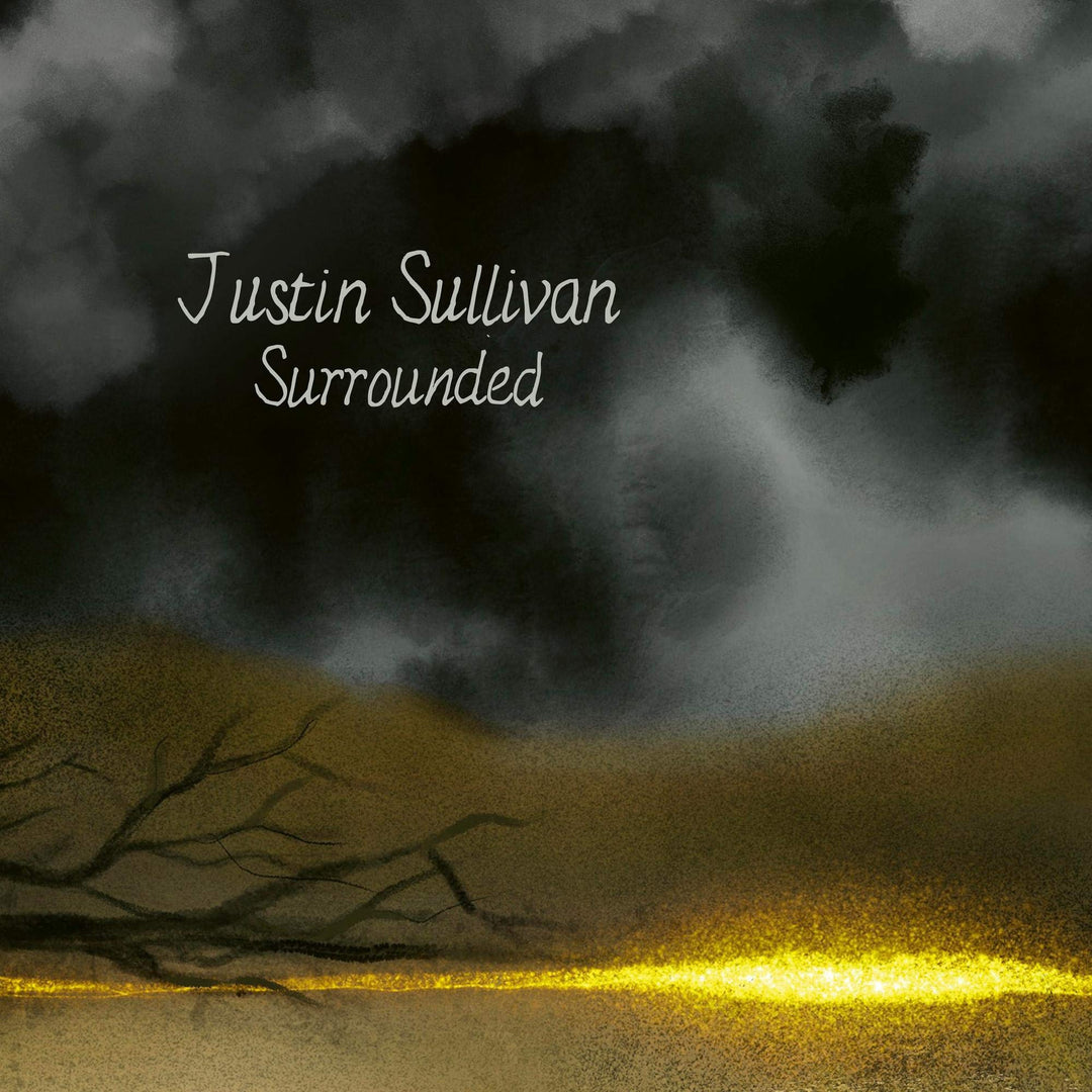 Surrounded (2LP Gatefold), Vinyl