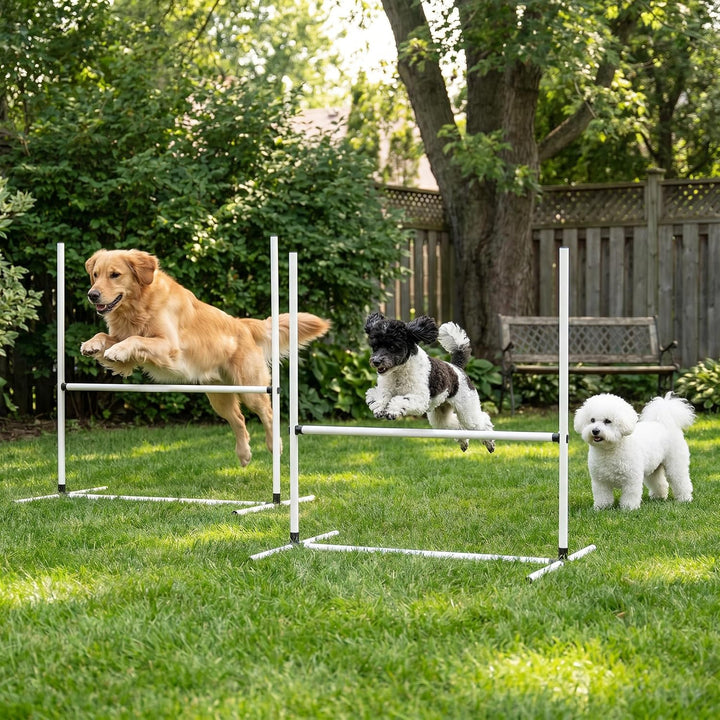 YRHome Hunde Agility Hürdenset Agility-Ausrüstung für Hunde 4 x Hürden Slalom Stangen Hunde Training