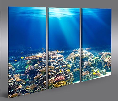 islandburner Bild Bilder auf Leinwand Unterwasser Tauchen Korallen Meerwasser 3p XXL Poster Leinwand