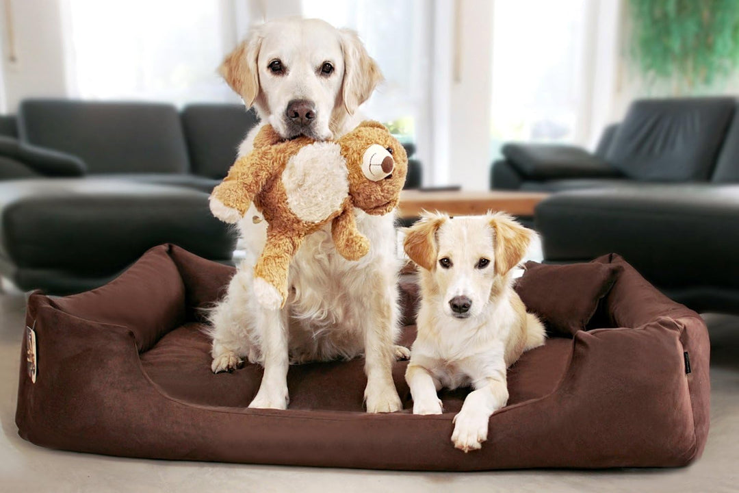 tierlando® Orthopädisches Hundebett Pluto Ortho VISCO Viscoschaum aus weichem Velours Grösse: PLV3 9