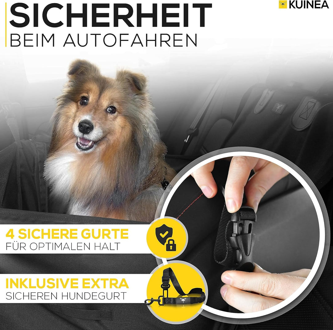 KUINEA Hundesitz Auto Rückbank mit GRATIS Hundegurt für Auto - für kleine bis mittelgrosse Hunde - P