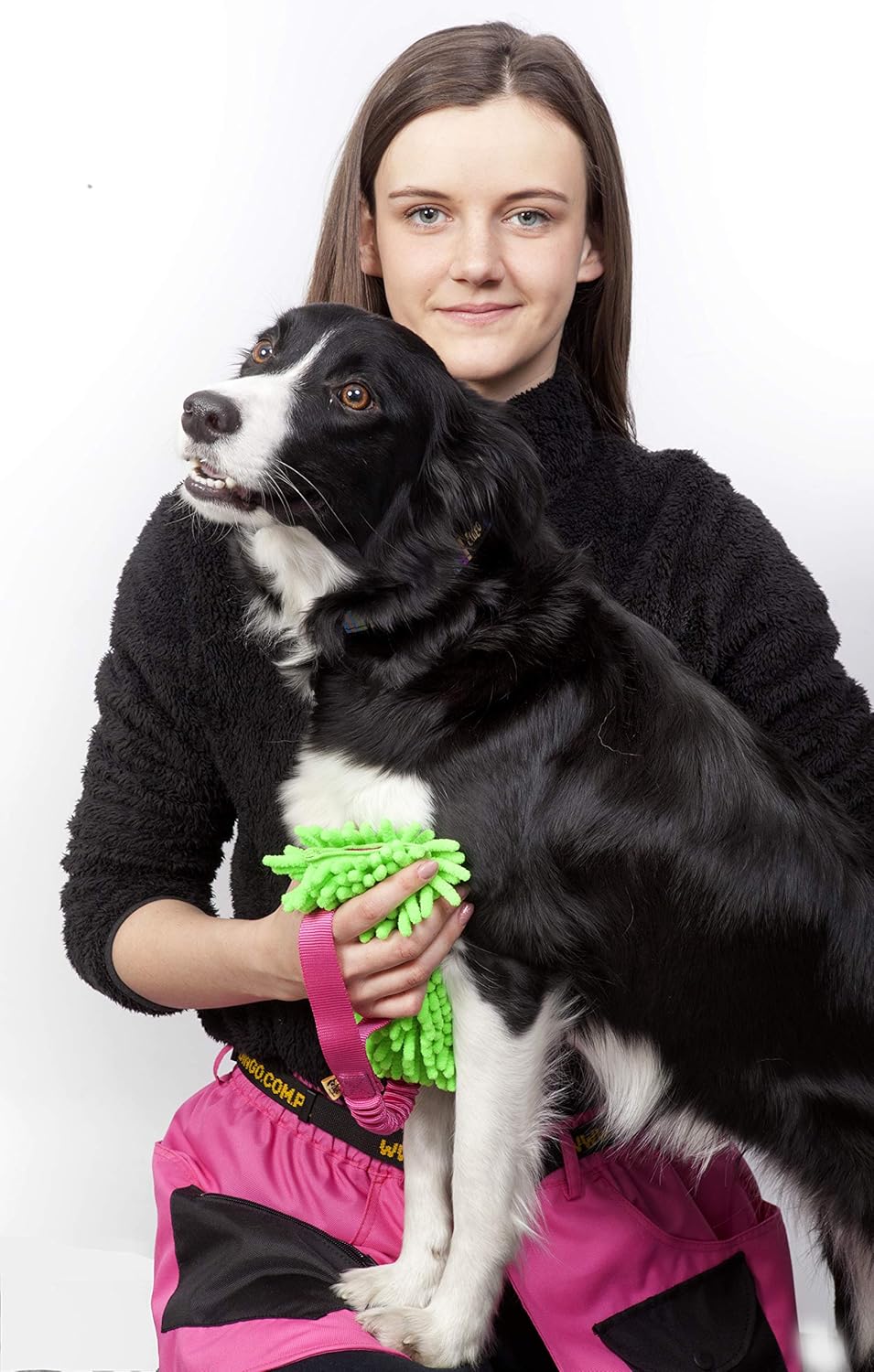 Dingo Trainingsgürtel, Sport, Agility, Apportieren, Gehorsam, Leinenführung, Nasenarbeit, Verhaltens