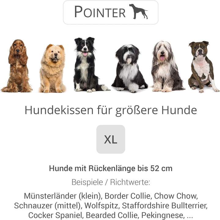 Doctor Bark Pointer | Hundekissen Urban - orthopädisch, waschbar, robust, bequem (XL - 70x60 cm, Gra