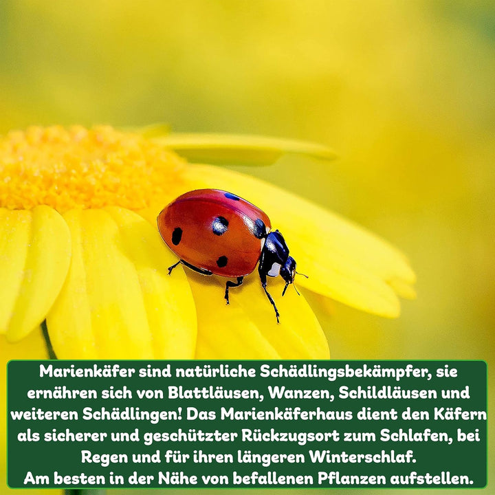 ERDENFREUND® Marienkäferhaus Marienkäfer Hotel für den Winterschlaf artgerecht schräg verlaufende Sp