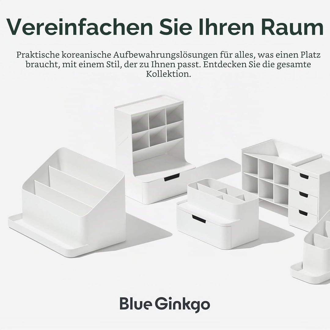 BLUE GINKGO Schreibtisch-Organizer – Aufbewahrung aus Korea für Stifte, Notizen, Briefe und Bürobeda