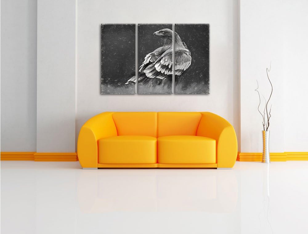 Pixxprint Einsamer Falke mit braunem Gefieder Kunst Kohle Effekt 3-Teiler Leinwandbild 120x80 Bild a